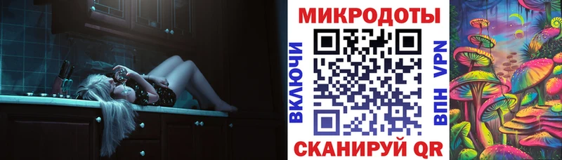 Купить закладки  Бутурлиновка  Галлюциногенные грибы Cubensis 